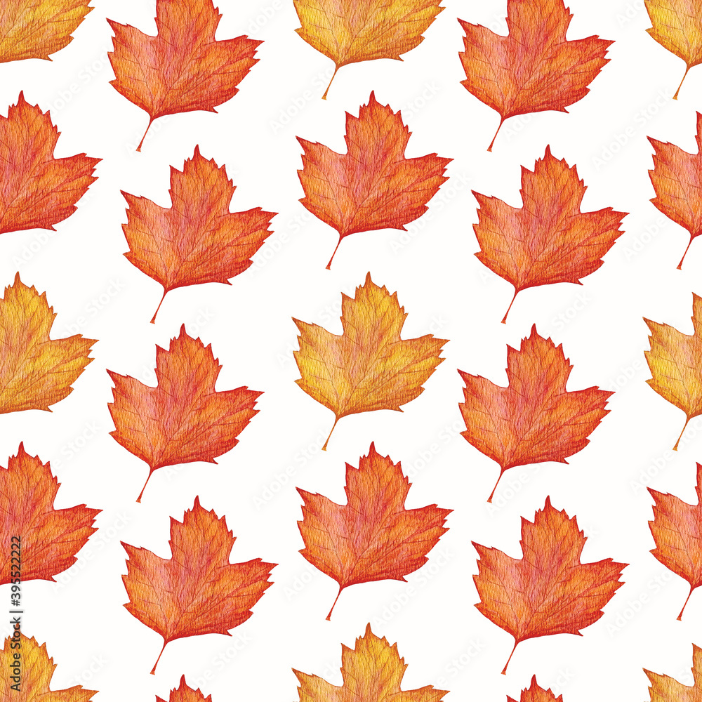 Fototapeta premium Watercolor seamless pattern with autumn viburnum leaves on a white background. Viburnum leaves in yellow red and orange shades.