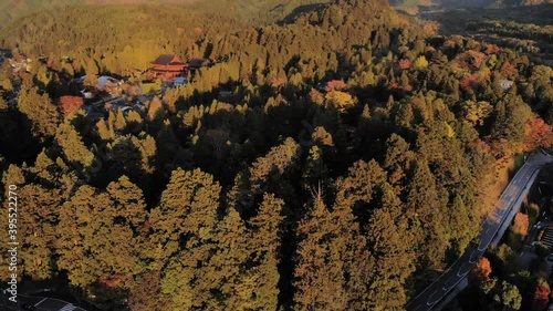 Slow aerial drone tilt up over forest in Nikko area next to Toshogu Shrine