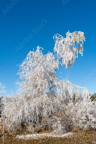 freezing winter in the morning hours
