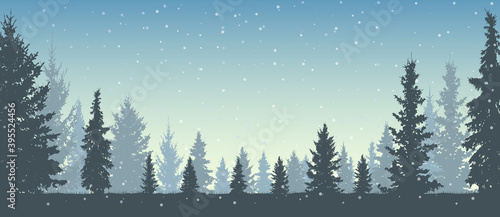 Winter forest and snowfall, silhouettes beautiful snowy Christmas trees. Vector illustration