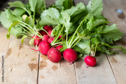 Fresh radishes on a wooden background