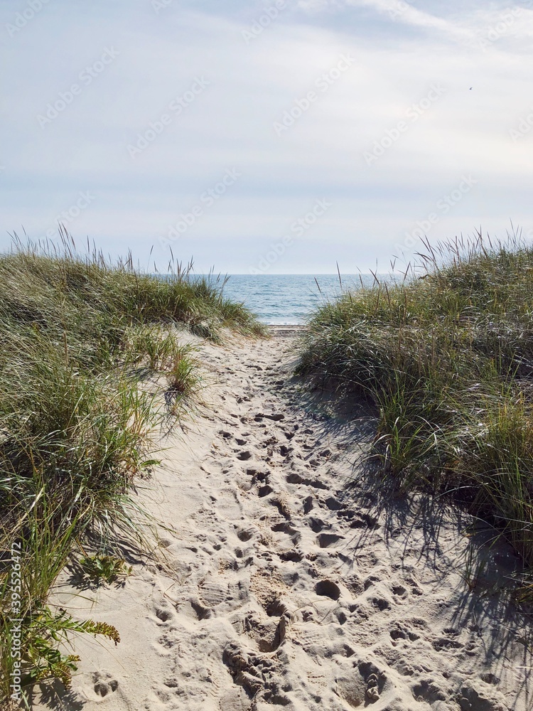 sandy pathway to the ocean