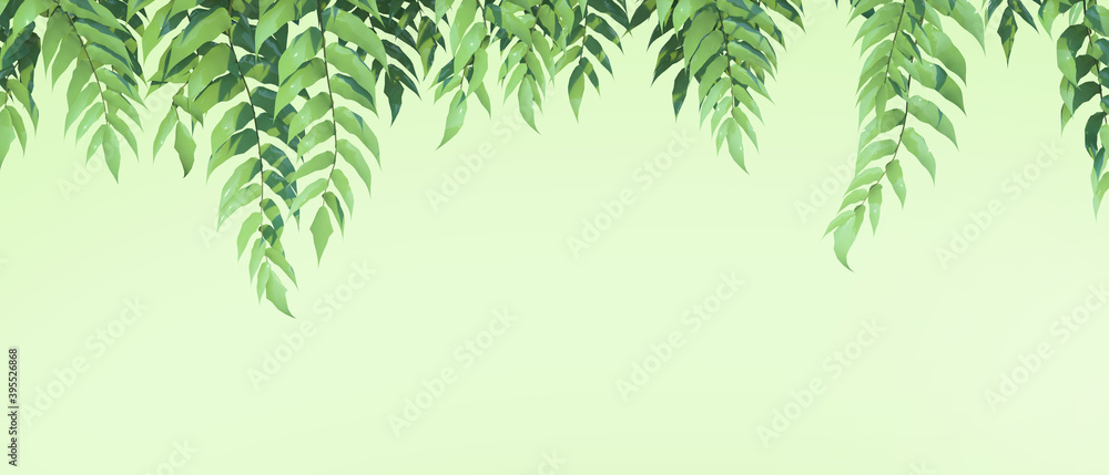 Natural Green backgrounds leaves banners horizontal tropical  and Concept,web banner ,health care products, aroma, wedding invitation,copy space,poster, greeting cards - 3d rendering