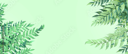 Natural backgrounds leaves banners horizontal Green tropical  and Concept web banner  health care products  aroma  wedding invitation copy space poster  greeting cards - 3d rendering