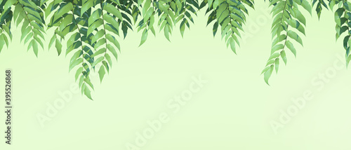 Natural Green backgrounds leaves banners horizontal tropical and Concept,web banner ,health care products, aroma, wedding invitation,copy space,poster, greeting cards - 3d rendering