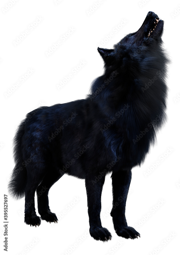 3D Rendering Black Wolf on White 3D Rendering Black Wolf on White