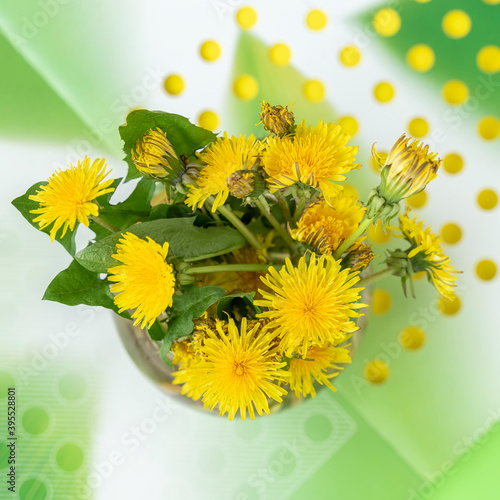 Spring colorful yellow dandelions above, top view. Concept of seasonal holidays and gifts