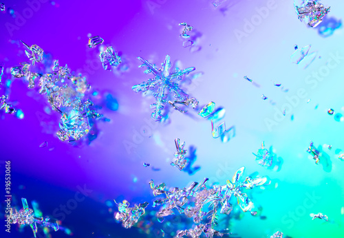 Snowflakes on a purple background with reflection. © schankz