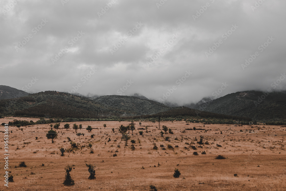 City life. Views of the city and suburbs. Over the mountains by car.