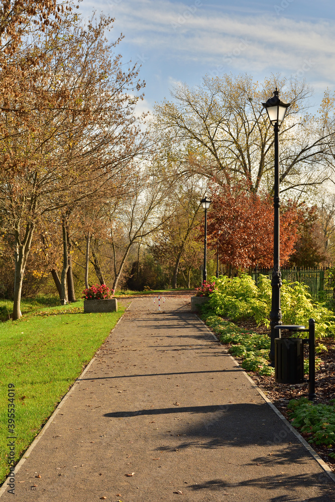 Fototapeta premium Alleys and lamps in autumn, carpets of yellow, brown and red leaves.