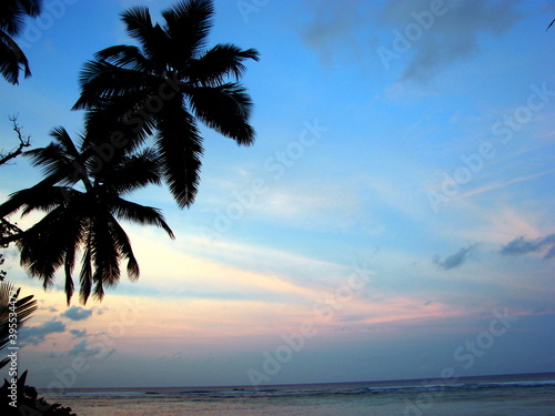 Fototapeta Naklejka Na Ścianę i Meble -  palm trees silhouette  on background blue sky with orange clouds at sunset over the sea 