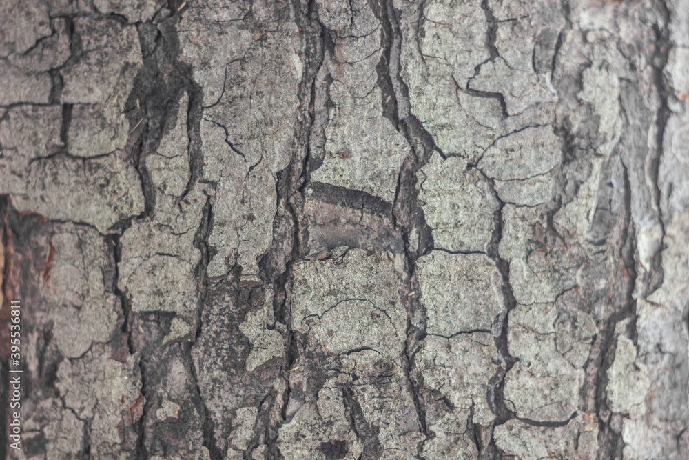 Textures. Things we usually don't notice. Textures. Things we usually don't notice.