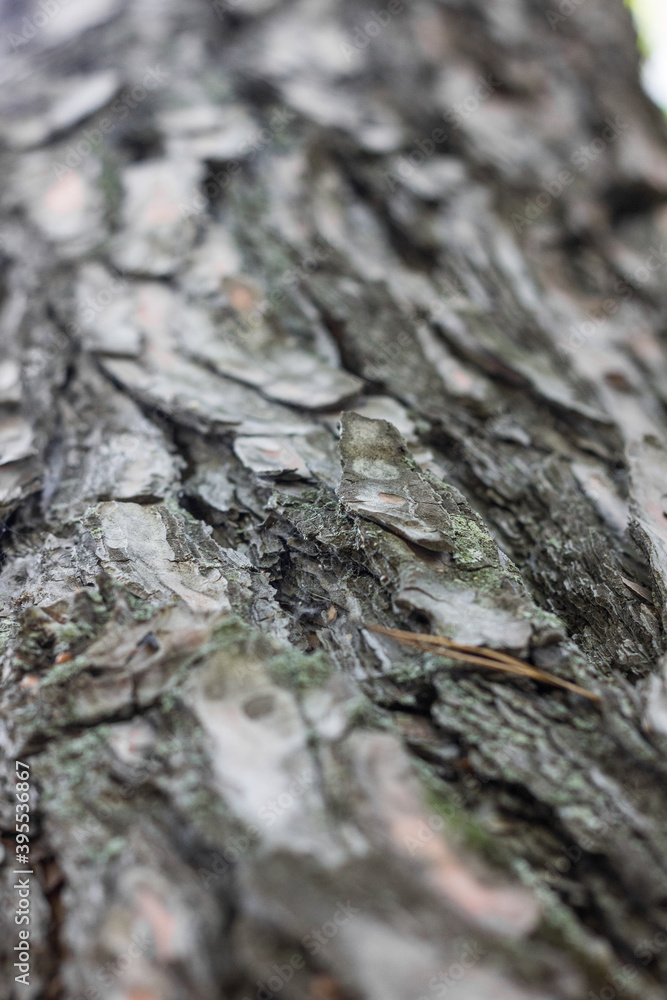 Textures. Things we usually don't notice. Textures. Things we usually don't notice.