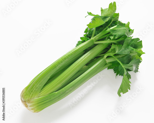 A fresh celery stalk on a white background