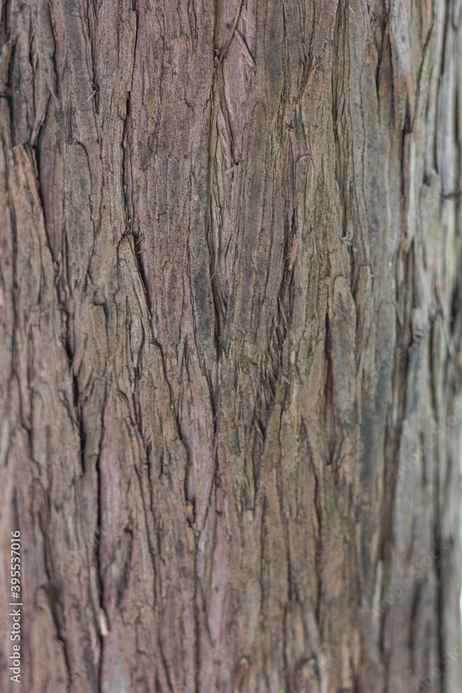 Textures. Things we usually don't notice. Textures. Things we usually don't notice.