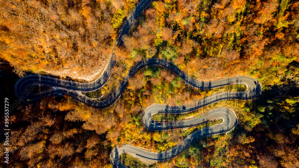 Obraz premium Drone's view Aerial landscape of road with traffic, rural road, autumn trees with yellow and orange leaves. .