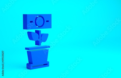Blue Money plant in the pot icon isolated on blue background. Business investment growth concept. Money savings and investment. Minimalism concept. 3d illustration 3D render.
