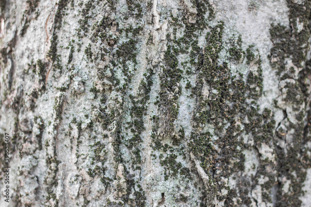 Textures. Things we usually don't notice. Textures. Things we usually don't notice.