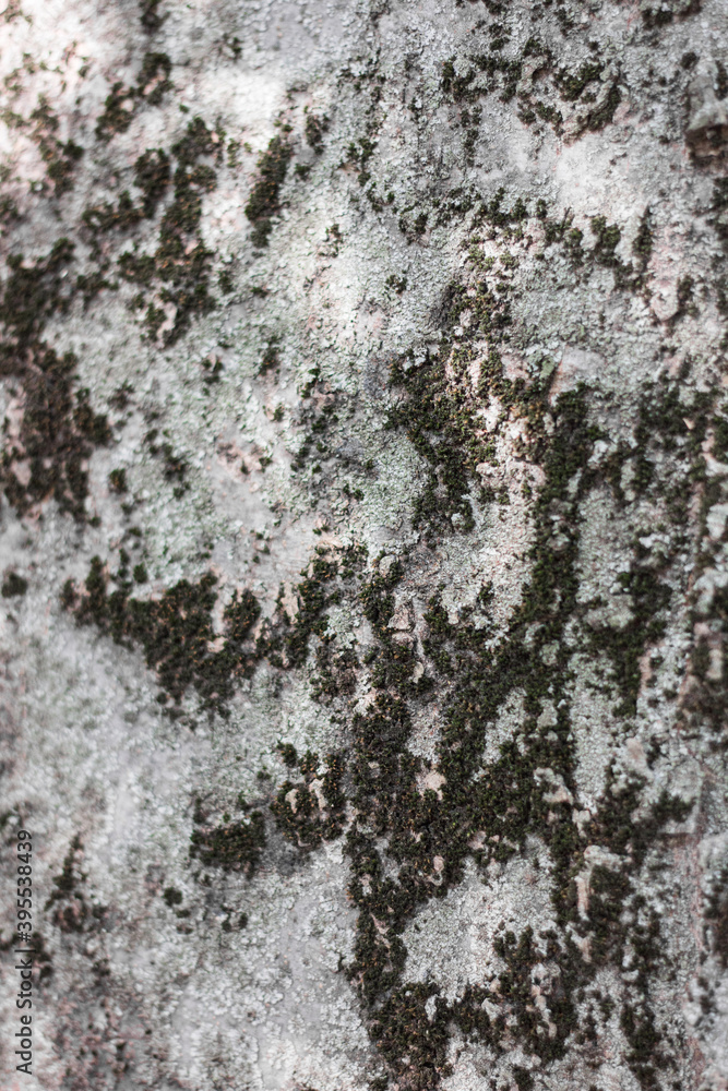 Textures. Things we usually don't notice. Textures. Things we usually don't notice.