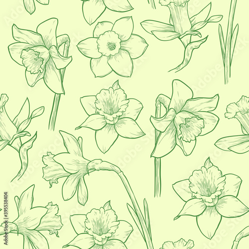 Light green floral seamless pattern. Hand drawn daffodils vector illustration.