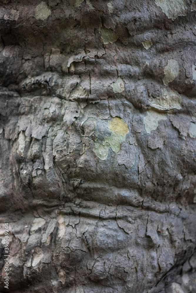 Textures. Things we usually don't notice. Textures. Things we usually don't notice.
