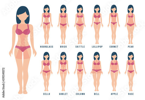 Female body shape types: apple, pear, hourglass, brick, column, cello, bell, skittle, lollipop, cornet, goblet, vase. Vector illustrations, flat style isolated on a solid background