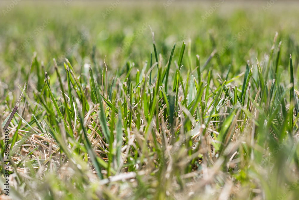 Textures. Things we usually don't notice.