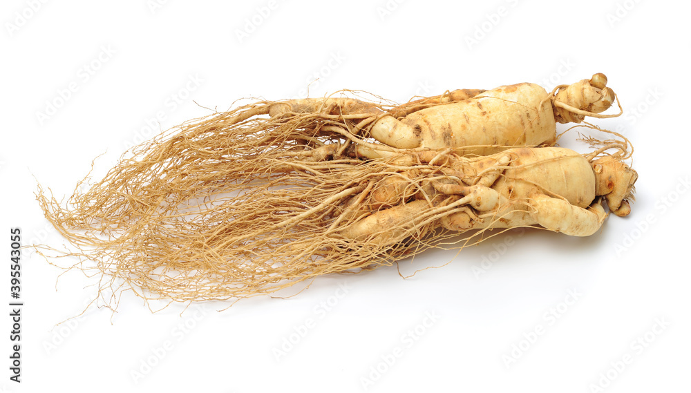 Ginseng roots on a white background