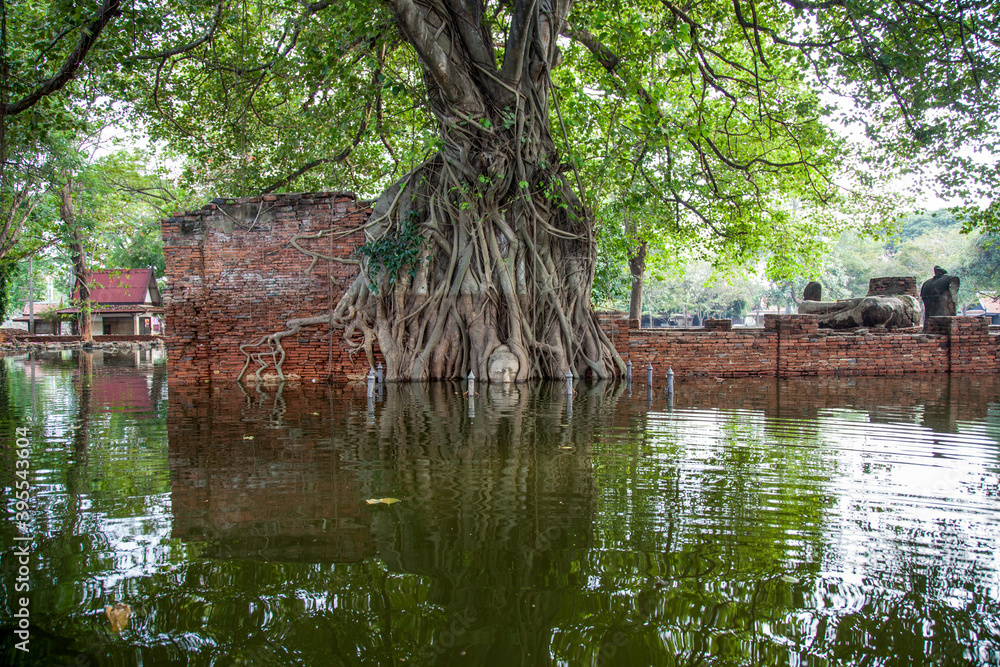 Wat Mahathat inondation Thaïlande avec la tête de buddha sous l'eau Wat Mahathat inondation Thaïlande avec la tête de buddha sous l'eau