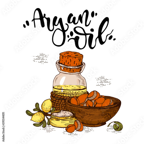 Composition with branch argan tree with fruits, nuts argans, leaves and glass bottle with oil and accessories Detailed hand-drawn sketches and lettering, vector botanical illustration.