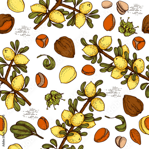Seamless Pattern with branch argan tree with fruits, nuts argans, leaves, flower argans Detailed hand-drawn sketches, vector botanical illustration.