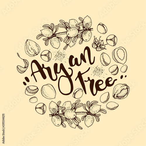 Background with branch argan tree with fruits, nuts argans, leaves, flower argans. Detailed hand-drawn sketches and lettering, vector botanical illustration.