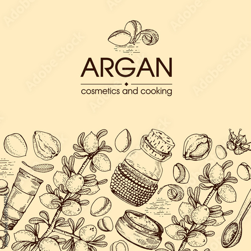 Composition with branch argan tree with fruits, nuts argans, leaves and accessories Detailed hand-drawn sketches, vector botanical illustration.