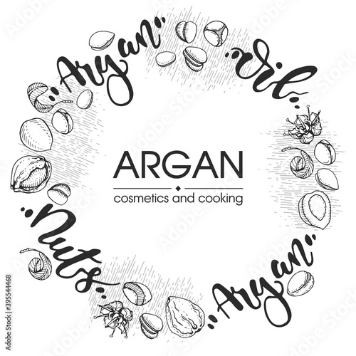 Background with branch argan tree with fruits, nuts argans, leaves, flower argans and glass bottle with oil and accessories Detailed hand-drawn sketches and lettering, vector botanical illustration.