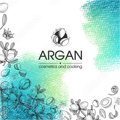 Composition with branch argan tree with fruits, nuts argans, leaves and accessories Detailed hand-drawn sketches, vector botanical illustration.
