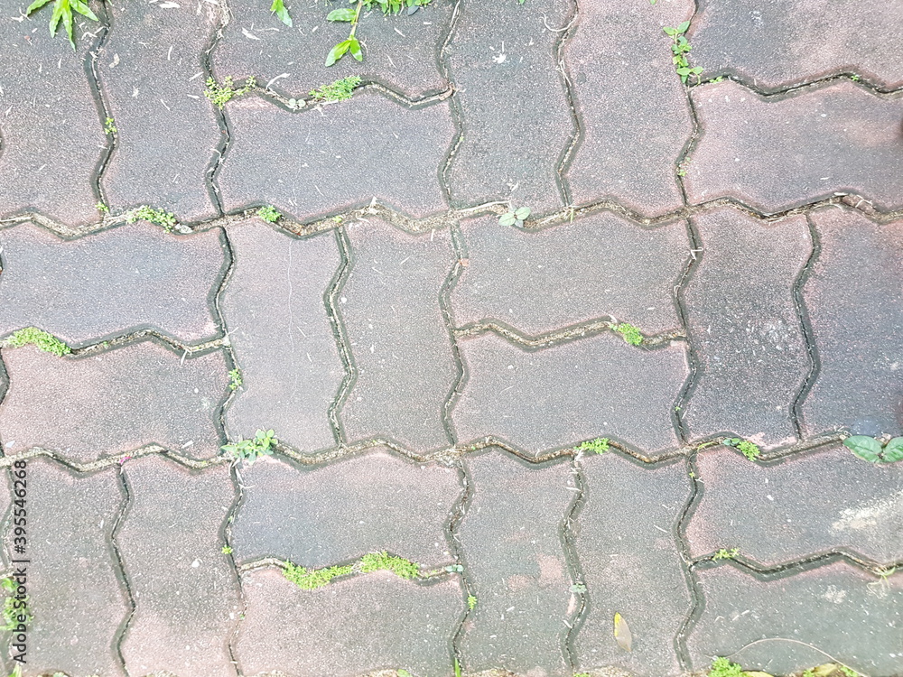 The pavement is lined with bricks, neatly arranged, clean and safe to travel. The pavement is lined with bricks, neatly arranged, clean and safe to travel.