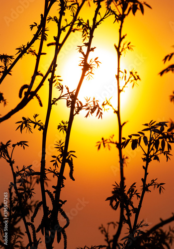 Sunset in the Netherlands