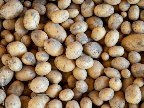Background with potatoes, poatoes texture