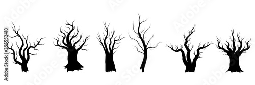 Set of naked trees on white background. Silhouette of wooden trunk and branches. Vector illustration.