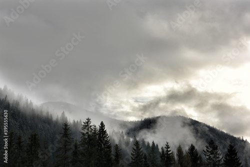 Winter view of mountains overgrown with forest in white frost in the fog. Vintage style.
