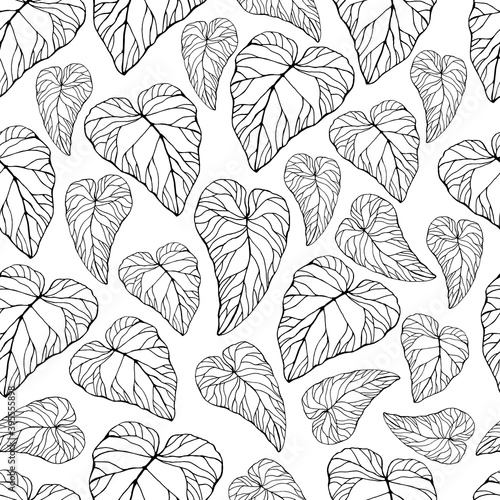 Seamless pattern with bright caladium leaves. The leaves of the caladium plant. Hand drawn elegance vector illustration for natural design. Hand drawn big set of calladium leaves.