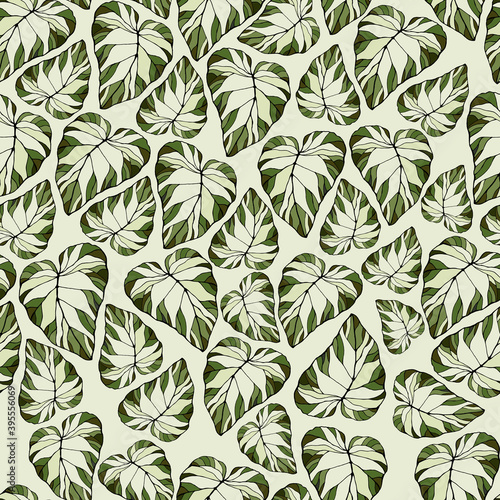 Seamless pattern with bright caladium leaves. The leaves of the caladium plant. Hand drawn elegance vector illustration for natural design. Hand drawn big set of calladium leaves.