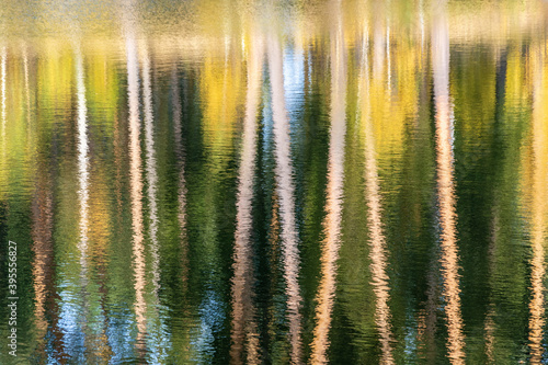 Abstract background of tree trunks blurred on the river surface.