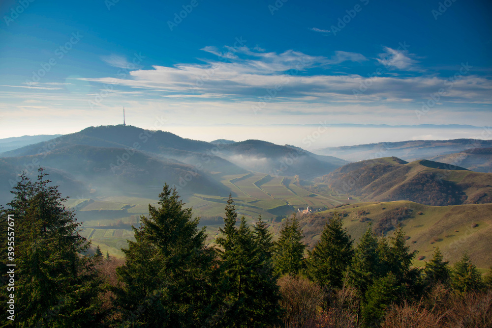 Fototapeta premium Blick vom Badberg im Kaiserstuhl in die nebelige Rheinebene