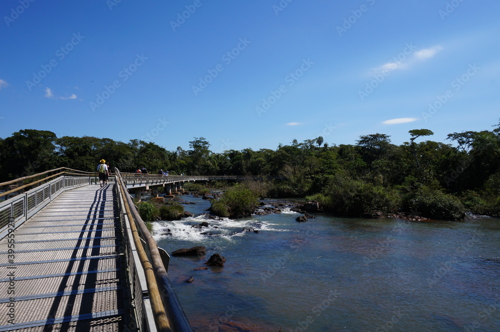 Fototapeta premium bridge over river in the forest