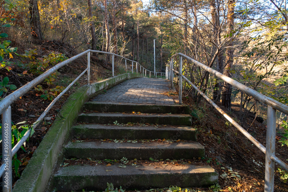 The path leading to Tatsminda park, autumn
