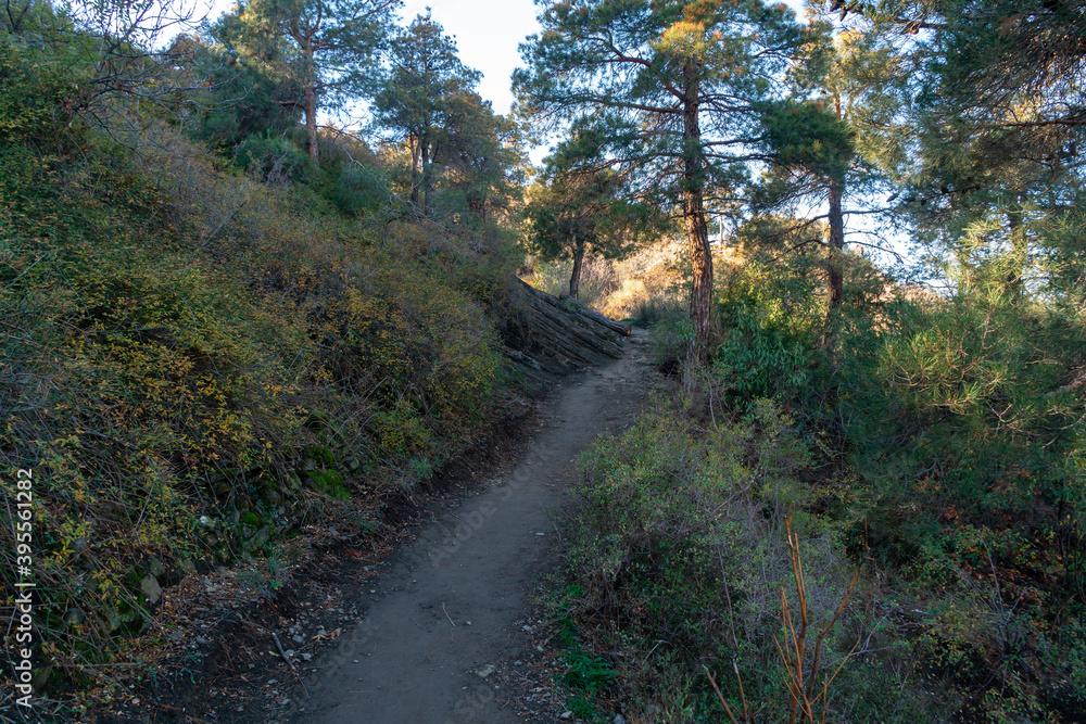 The path leading to Tatsminda park, autumn