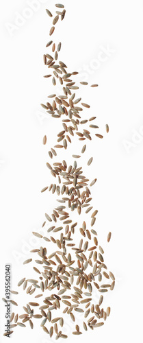 Grains of rye