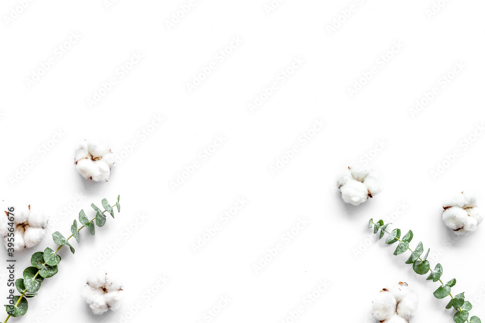 Natural flowers composition with eucalyptus branches and cotton on white background top view, copy space. Blog mockup