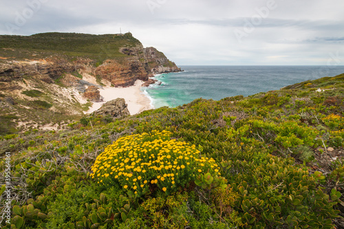 Scenic view of Dias beach (Diaz beach), Cape Town, South Africa. photo